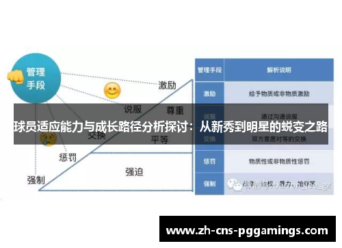 球员适应能力与成长路径分析探讨：从新秀到明星的蜕变之路