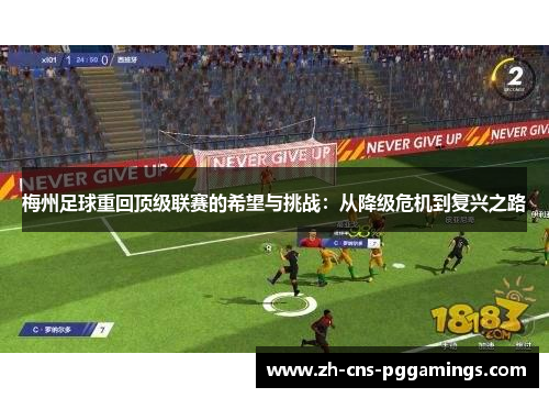 梅州足球重回顶级联赛的希望与挑战：从降级危机到复兴之路