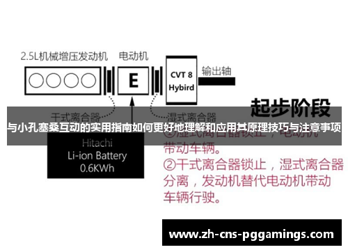 与小孔塞桑互动的实用指南如何更好地理解和应用其原理技巧与注意事项