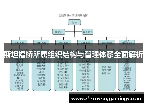 斯坦福桥所属组织结构与管理体系全面解析
