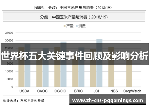 世界杯五大关键事件回顾及影响分析
