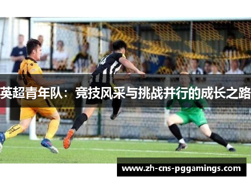 英超青年队：竞技风采与挑战并行的成长之路