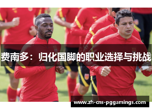 费南多：归化国脚的职业选择与挑战
