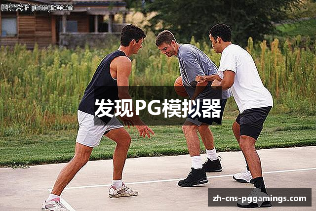 发现PG模拟器